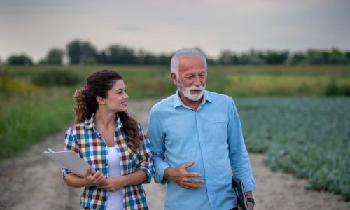 Family business discussion in field