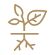 plant growing icon